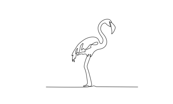 Animated Flamingo Bird: A Study in Single-Line Motion