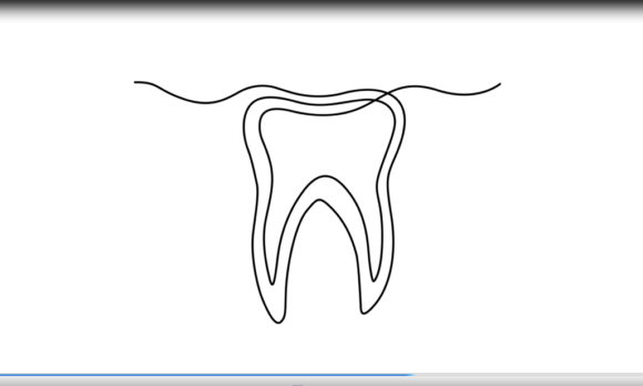 Animated Human Tooth Dental: A Modern Approach to Healthcare Visuals