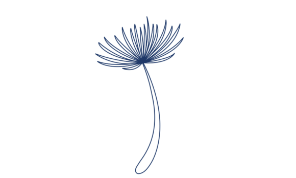 Animated Line Art Flying Seeds Flowers: A Poetic Motion Graphic