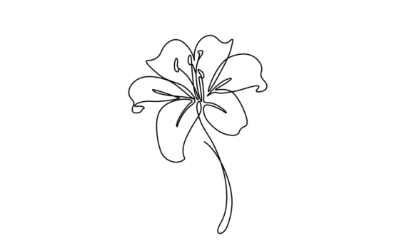 Animated One Line Drawing of Lily Flower: Spring's Elegant Motion
