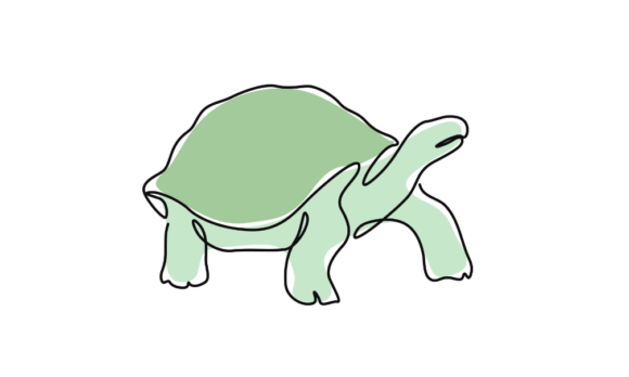 Animated Sea Turtle Continuous Line Art: Fluid Motion in Design