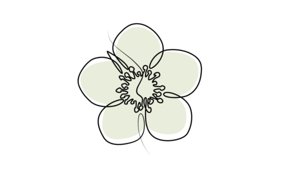 Animated Strawberr Flower Line Drawing: A Creative Font Guide