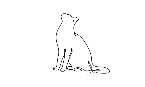 Cat Pet Animals’ Line Animation: A Designer’s Guide to Feline Motion