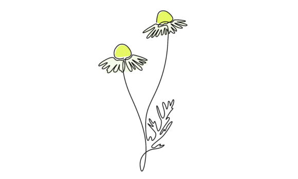 Elevate Your Brand with Animated Chamomile Flowers Linear.