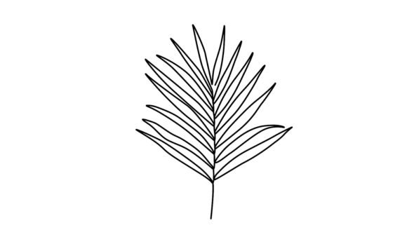 Palm Leaves Continuous Line Art: A Motion Graphics Animation