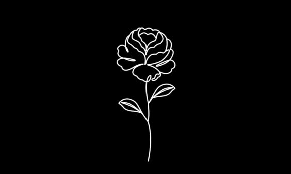 The Animated One Line Drawing of Rose Flower: A Minimalist's Dream