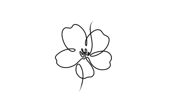 The Animated Single Cherry Flower: A Living Line