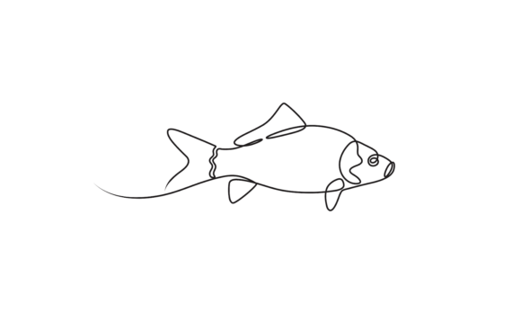 The Fluid Artistry of Fish Continuous Line Art Animation