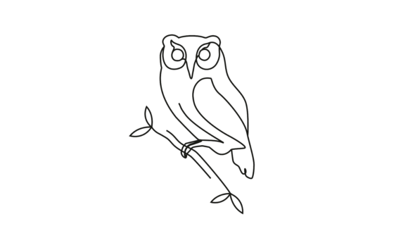 The Owl Bird Line Art Animation: Motion Graphics