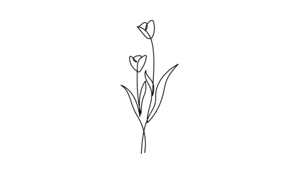 Tulip Flowers Linear Animation: A Fresh Design Asset